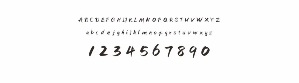 字母与数字样张