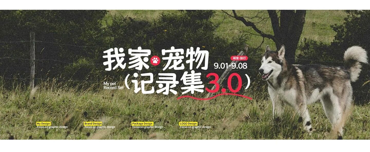 场景应用